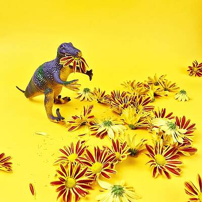 Wall Art featuring the photograph Best Of Month #1 by Juj Winn