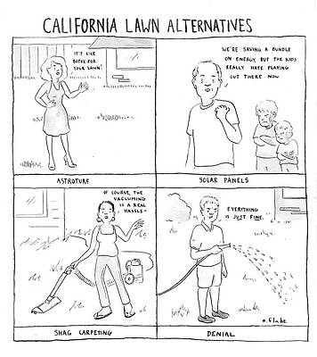 California Wall Art featuring the drawing California Lawn Alternatives #1 by Emily Flake