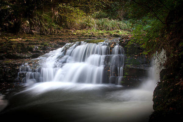 Fall Wall Art featuring the photograph Clare Glens #1 by Mark Callanan