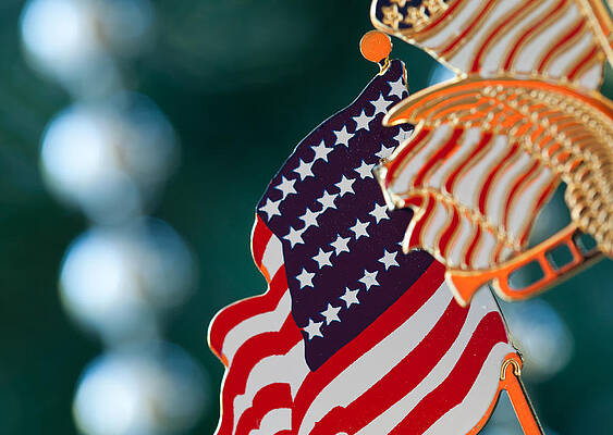 Modern Wall Art featuring the photograph Decorated Christmas Tree In Home #1 by Steven Heap