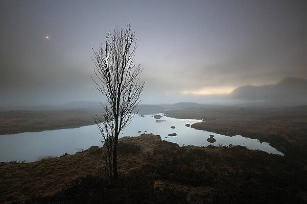 Minimalist Wall Art featuring the photograph Glencoe Mist #1 by Grant Glendinning