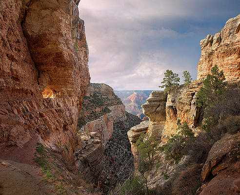 Wall Art featuring the photograph Grand Canyon National Park, Bright #1 by Ed Freeman