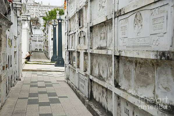 Historic Cemetery Corridor Photograph