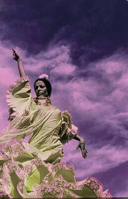 Wall Art featuring the photograph La Contrahecha Wearing A Ruffled Dress #1 by Raymundo de Larrain