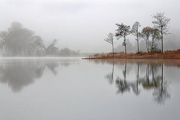 Reflection Wall Art featuring the photograph Loch Ard #1 by Grant Glendinning