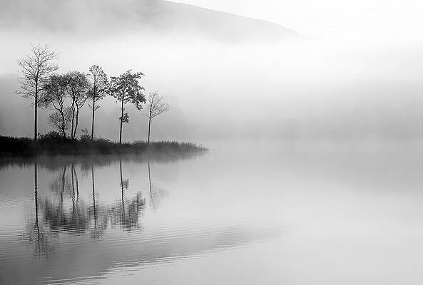 Reflection Wall Art featuring the photograph Loch Ard Trees In The Mist #1 by Grant Glendinning