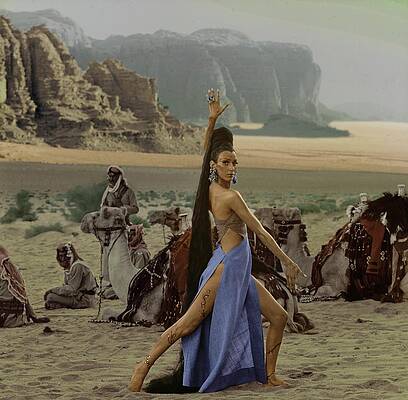 Desert Elegance with Camels Photograph