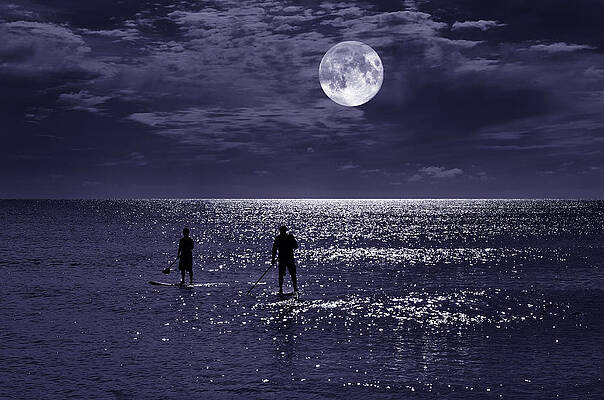 Moody Wall Art featuring the photograph Night Boarders by Laura Fasulo