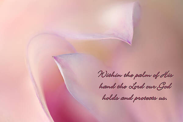 Bloom Wall Art featuring the photograph Protected #1 by Mary Jo Allen