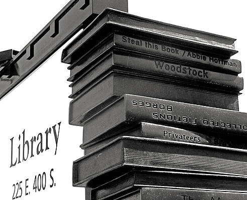 Wall Art featuring the photograph Steal This Book by Rona Black