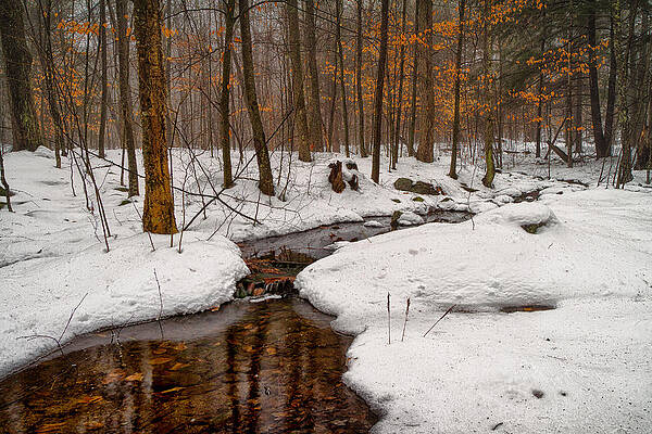 Wall Art featuring the photograph Stream Through The Misty Winter Woods #2 by Jeff Sinon