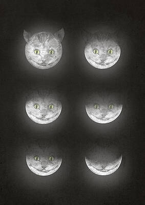 Phases of a Cat's Face Wall Art