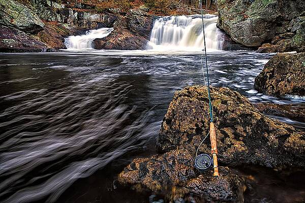 Photograph - 1 Weight On The Isinglass. by Jeff Sinon