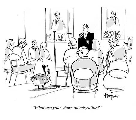 Wildlife Drawing - What Are Your Views On Migration #1 by Kaamran Hafeez