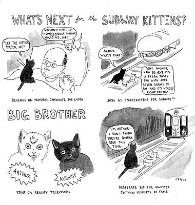 Bat Wall Art featuring the drawing What's Next For The Subway Kittens #1 by Emily Flake