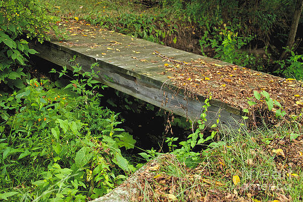 Architecture Wall Art featuring the photograph Wooden Bridge #1 by William Norton