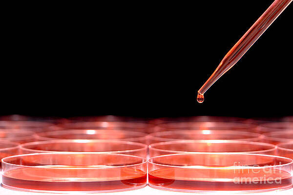 Wall Art featuring the photograph Laboratory Experiment In Science Research Lab #11 by Science Research Lab
