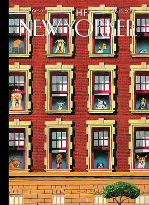 Dogs in Apartment Windows Wall Art