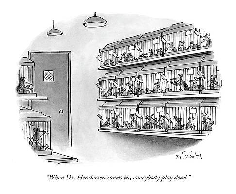 Animals Playing Dead in Cages Wall Art