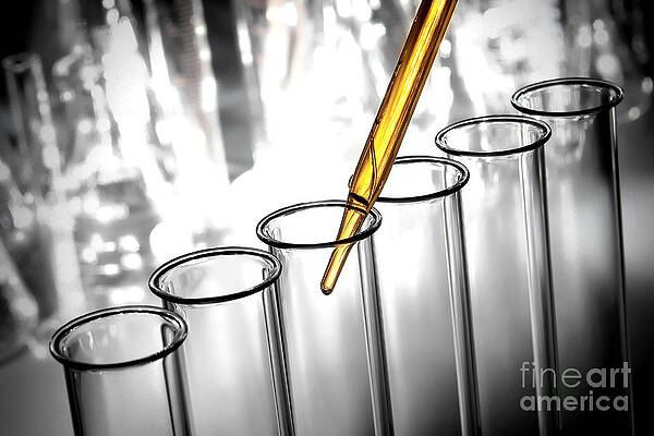Laboratory Test Tubes in Science Research Lab by Science Research Lab