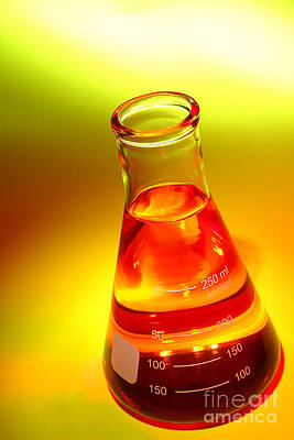 Laboratory Equipment in Science Research Lab by Science Research Lab