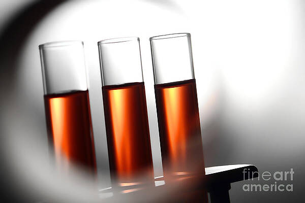Laboratory Test Tubes in Science Research Lab by Science Research Lab