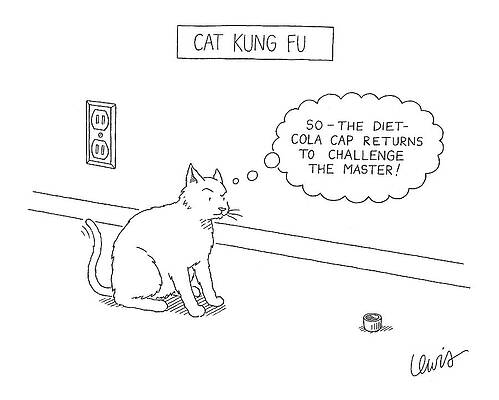 Cat Kung Fu Challenge Wall Art