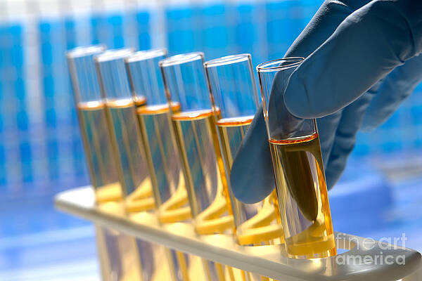 Wall Art featuring the photograph Laboratory Test Tubes In Science Research Lab #19 by Science Research Lab