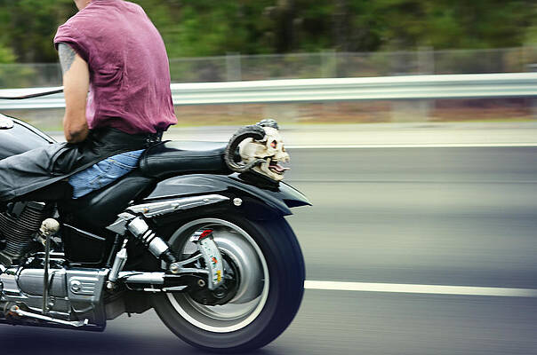 Moody Wall Art featuring the photograph Bat Out Of Hell #1 by Laura Fasulo