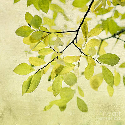 Branch with Green Leaves Wall Art