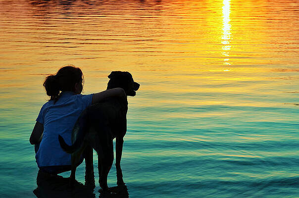 Girl and Dog Watching Sunset Wall Art