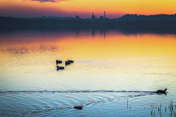 Wall Art featuring the photograph Lake Sunset #2 by Deimagine