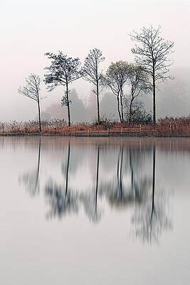 Reflection Wall Art featuring the photograph Loch Ard Reflections #2 by Grant Glendinning