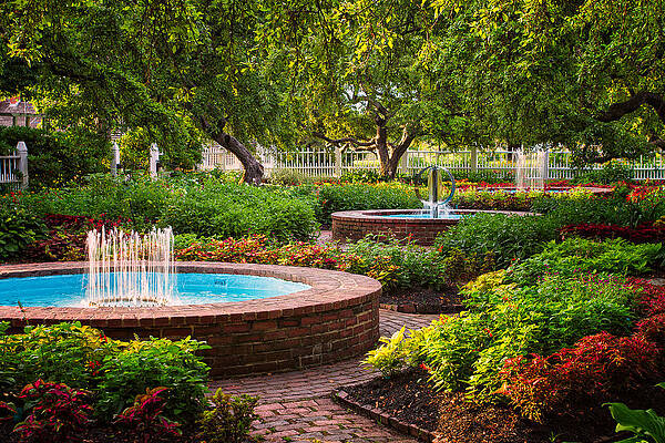 Wall Art featuring the photograph Morning Garden by Jeff Sinon