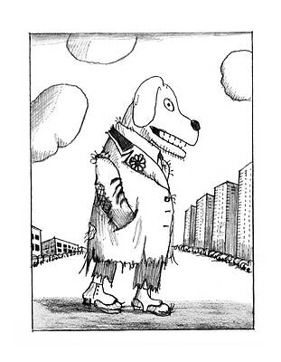 Native Drawing - New Yorker February 23rd, 1976 #2 by Saul Steinberg