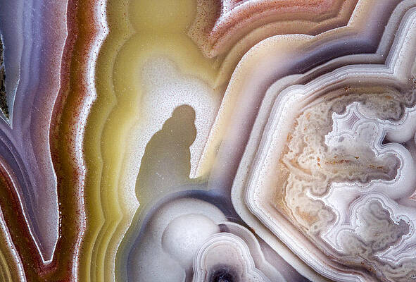 Stunning Agate Patterns Photograph