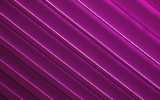 Bold Wall Art featuring the photograph Think Pink by Rona Black