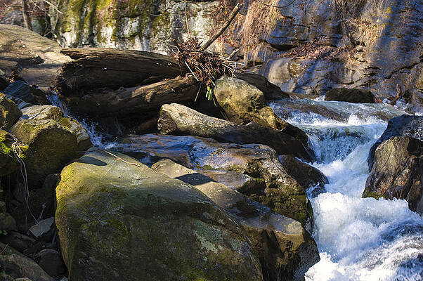 North Carolina Wall Art featuring the photograph Unnamed NC Waterfall #2 by Flees Photos
