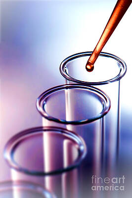 Wall Art featuring the photograph Laboratory Experiment In Science Research Lab #21 by Science Research Lab