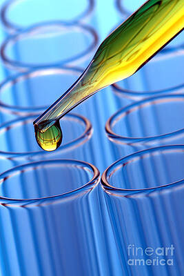 Laboratory Test Tubes in Science Research Lab by Science Research Lab