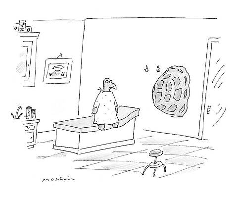 Bird Awaiting Consultation with Shell Drawing