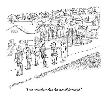 Farm Wall Art featuring the drawing I Can Remember When This Was All Farmland by Paul Noth