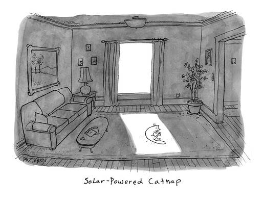 Solar-Powered Catnap Drawing