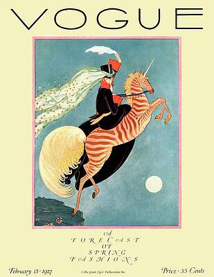 Fantasy Rider on Zebra Unicorn Photograph