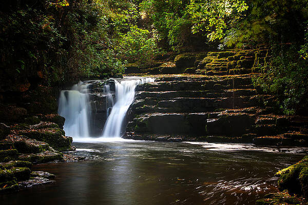 Fall Wall Art featuring the photograph Clare Glens #3 by Mark Callanan