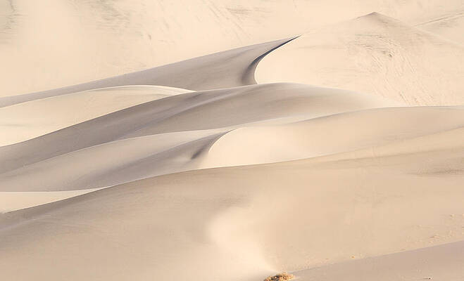 Dramatic Wall Art featuring the photograph Eureka Dune #3 by Jean Noren