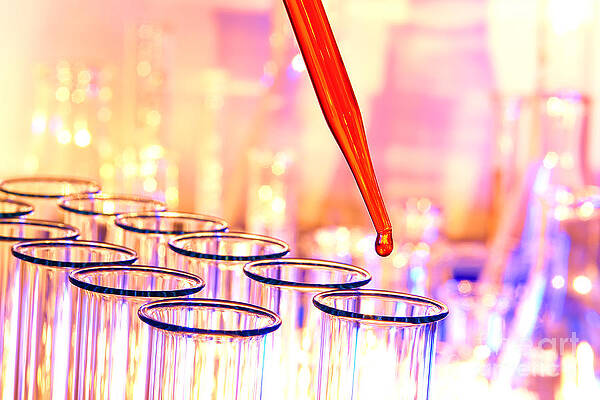 Laboratory Experiment in Science Research Lab by Science Research Lab