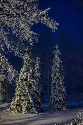 Wisc Wall Art featuring the photograph Rib Mountain State Park Snow by Dale Kauzlaric