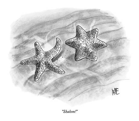 Two Starfish Greeting Wall Art
