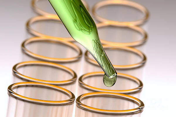 Laboratory Test Tubes in Science Research Lab by Science Research Lab